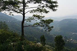 A view from Nagarkot hiking trail