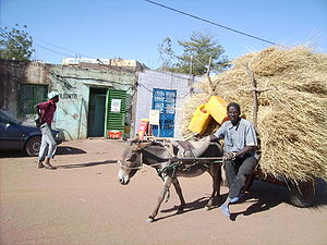 A farmer on the streets of Dori