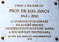 Prof. Dr. Kiss János, Rózsafa utca 3.