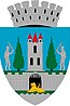 Blason de Satu Mare