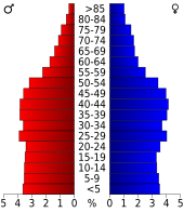 Bevolkingspiramide Pulaski County