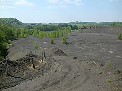 Les terrils situés dans la plaine du Chanois.