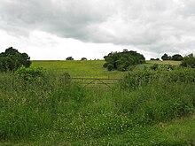 Alfrick - grassland opposite Crews Hill Court - geograph.org.uk - 840212.jpg