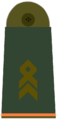 Stabsfeldwebel[A 10]