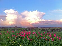 Dramatic sky over the fields of Roughley, Sutton Coldfield.