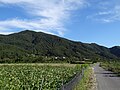 Gui (Wanju) - September 2018 (4)