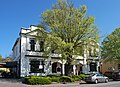 Ολλανδική φτελιά (Ulmus × hollandica 'Vegeta'), Healesville, Βικτώρια, Αυστραλία[40]