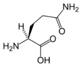 Glutamina (Gln / Q)