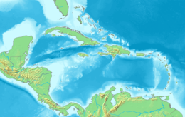 Cayman Besar di Karibia