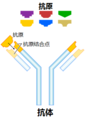 2011年7月2日 (六) 10:36版本的缩略图