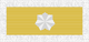 Ribbon of the Meritorious Unit Citation