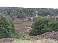 De Fischbeker Heide maakt deel uit van de Harburger Berge