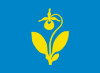 Flag of Snåsa Municipality