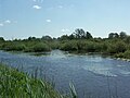 Natuurreservaat De Zegge, Geel