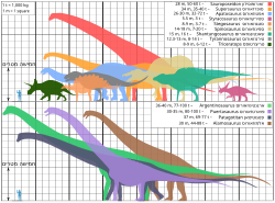 השוואת גודל בין סטירקוזאורוס לדינוזאורים אחרים