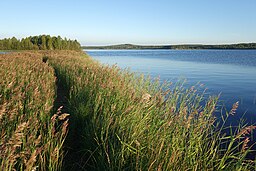 Sjön Burträsket.