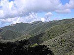 Montane chaparral and mountains.