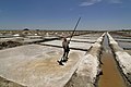 A daily wage worker in a salt field. The average minimum wage of daily labourers is around Rs.100 per day