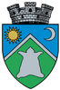 Coat of arms of Sovata