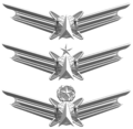 太空作戰徽章