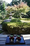 View from a tea-house