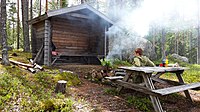 Vindskyddet vid Mitti-Holmsjön, ett av de partier som ingår i reservatsutvidgningen.