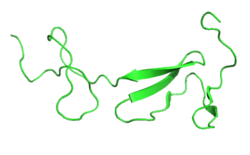 Kollagen-Typ 2α1