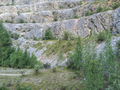 Papilio alexanor habitat-Piemonte, Valle Gesso (CN)