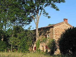 Saint-Genès-la-Tourette – Veduta