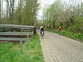 Ascension du Taaienberg lors du Tour des Flandres cyclo 2017, juste avant la portion de faux-plat montant.