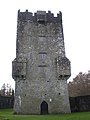 Castell d'Aughnanure - La torre dels O'Flahertys