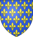 Blason de France ancien : d'azur semé de fleurs de lys d'or.