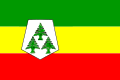 Bandera de Jenifra