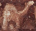 Image 32Neolithic rock art at the Laas Geel complex depicting a camel. (from History of Somalia)