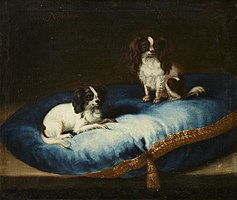 Hedvig Eleonoras två hundar Nespellina och Dondon, av rasen King Charles spaniel, avporträtterade av David Klöcker Ehrenstrahl.