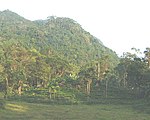 Forested hilly landscape.