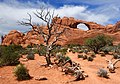 en:Arches National Park