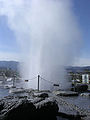 Le geyser du Lac Suwa.