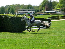 Cheval gris clair galopant sur un parcours de cross, qui se trouve être un hippodrome.