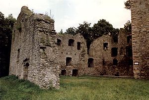 Ruine vum Palas (1987)