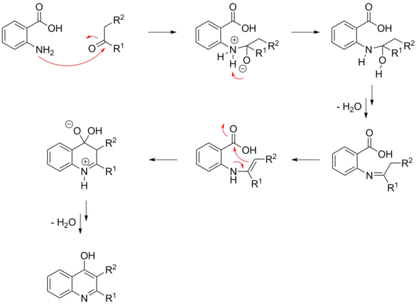 A possible mechanism of the Niementowski quinoline synthesis.