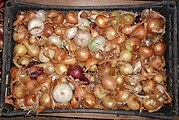 Produce may be packaged for transport in a plastic crate.