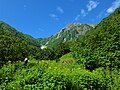 大樺沢上部からの北岳