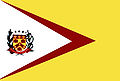 Bandeira de Nova Guataporanga
