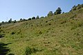 Image 18Bevendean Down (Local Nature Reserve) (from Brighton and Hove)