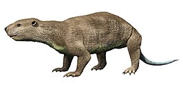 Didelphodon