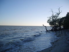 Lagona de Terminos Carmen