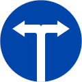 301i: Turn left or right only