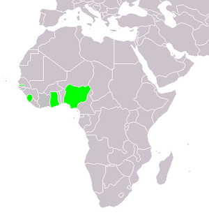 영국령 서아프리카의 위치이다. 왼쪽에서 오른쪽으로: 감비아, 시에라리온, 골드코스트, 나이지리아