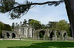 Ruined Undercroft at St Mary's Abbey